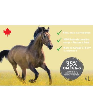 Ferme Olim ga Camelina Oil for Horses 4L Rich in Polyunsaturated Omega-3 Vitamin E Pure and Cold Pressed. - Buy Online on GoSupps.com