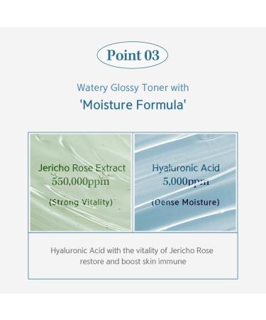 NACIFIC Hyal Booster Toner 150ml | 55% Jericho Rose Extract & Hyaluronic Acid | Calming pH 5.5 | Radiance Hydration | Korean Skincare for All Skin Types - Buy Online on GoSupps.com