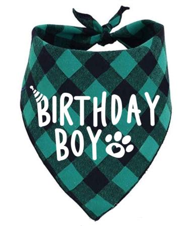 Birthday Boy Dog Bandana Green