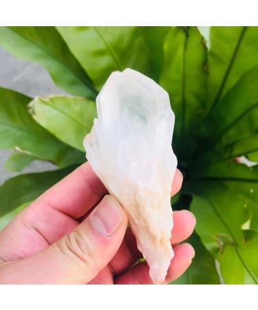 90g-180g Natural Crystal Cluster Skeleton Flower Stone 1pc HOMEZHOU (Color : 1pc 130g-150g)
