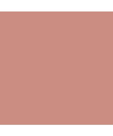 Neutrogena Matte Eye Shadow in Dusty Mauve - 1.0 oz | Vitamin E Infused Eye Makeup for Matte Finish - Buy Online on GoSupps.com
