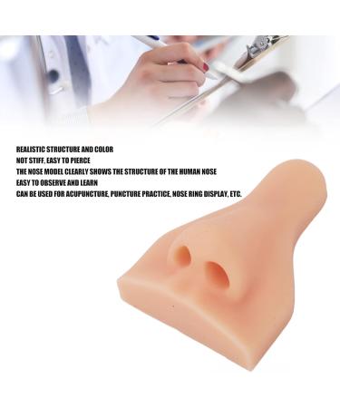 Silicone Nose Model for Acupuncture Teaching - Flexible Human Nose Simulation Tool | Educational Display (7.5 x 5.5 x 4 cm) - Ships Internationally - Buy Online on GoSupps.com