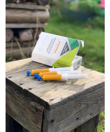 Bioavailable Liposomal Glutathione: Patented Formula for Rapid Absorption (30ml) - Pack of 1 - Buy Online on GoSupps.com