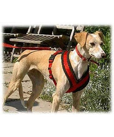 Trixie Premium Touring Harness M - Black | Sporty Dog Harness for Medium Dogs | Adjustable & Fleece Padded - Size 45-80 cm - Buy Online on GoSupps.com