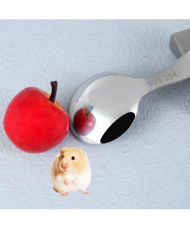 2 Pcs Small Animal Bowl Stainless Steel Single Hamster Feeder Small Dish Spoon Pet Food Bowl for Small Animal Rabbit Hamster - Buy Online on GoSupps.com
