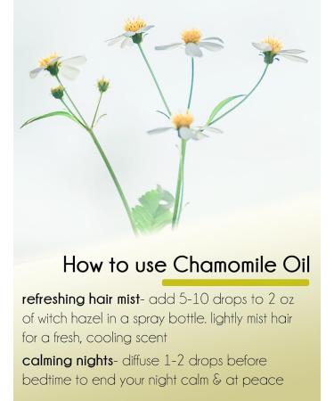 Chamomile (Roman) Essential Oil - 15 ml - 100% Pure & Natural - Amber Glass Bottle w/Euro Dropper - GreenHealth - Buy Online on GoSupps.com
