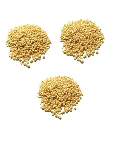 Buy Minkissy 3ST Hair Wax Pearls - Painless Hard Wax for Facial & Leg Hair Removal | Premium Quality Wax Beans - Buy Online on GoSupps.com