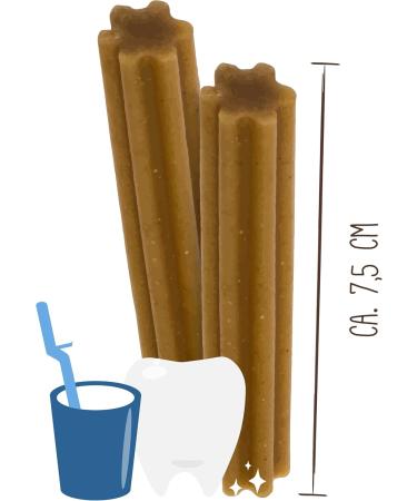 Sammy's Tooth Sticks for Dogs | Dental Care Chew Bar Snack | 300g Pack - Healthy Treats for International Shipping - Buy Online on GoSupps.com