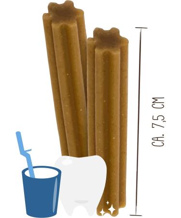 Sammy's Tooth Sticks for Dogs | Chew Bar Snack & Dental Care | Pack of 6 (300g Each) International Shipping Available - Buy Online on GoSupps.com