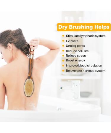 2 Set Back Bathing Brush with Long Stem - Natural Bristles Body Brush for Exfoliating Cellulite Reduction & Lymphatic Health - International Shipping - Buy Online on GoSupps.com