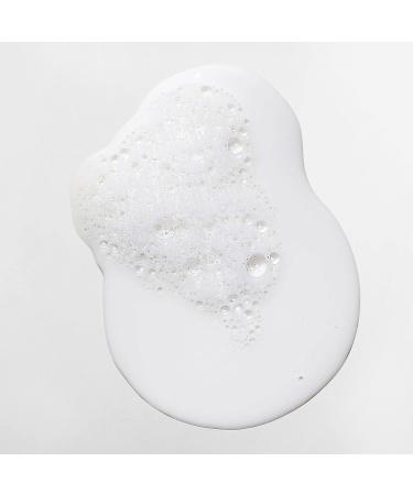 Mizani Scalp Care Dandruff Shampoo 16.9 Fl Oz | Pyrithione Zinc | Curly Hair Cleanser - Buy Online on GoSupps.com
