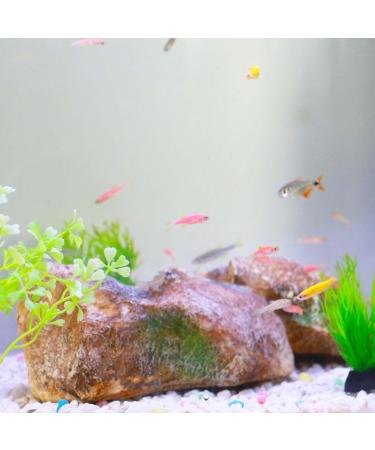 Ctpeng Aquarium Decoration Stone - Natural Look Decorative Rock & Hiding Place (25cm 13cm 7cm Resin) - Ideal Aquarium Accessories - Buy Online on GoSupps.com