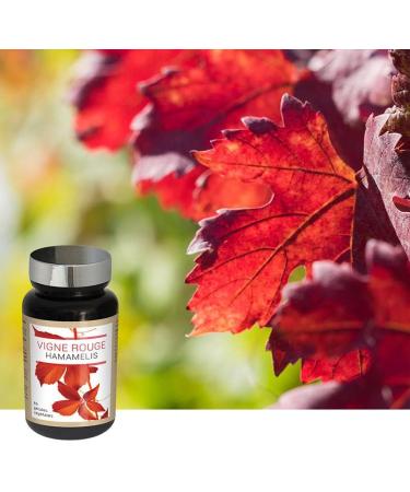 NUTRIEXPERT - Witch Hazel Red Vine - Contributes to Normal Blood Circulation - Reduces the Sensation of Heavy Legs - Promotes Circulatory Comfort - Vegan - Pack of 3 Products - Buy Online on GoSupps.com