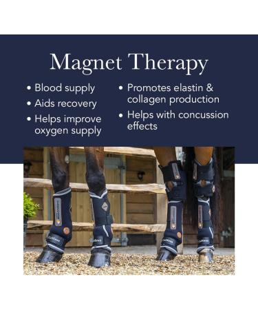 LeMieux Conductive Magno Horse Boots - M Black - Magnetic Therapy Protective Gear for Training - Equine Boots & Accessories - Buy Online on GoSupps.com
