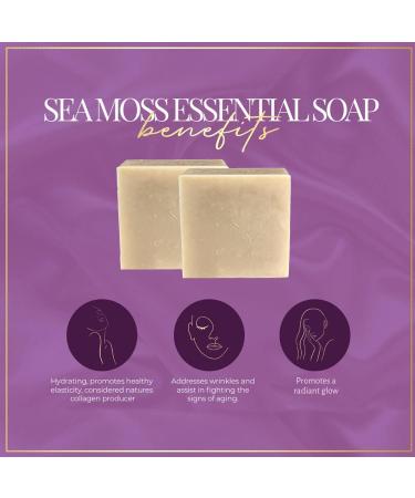 DorNee Sea Moss Facial Bar for Sensitive Skin | Natural Wildcrafted Sea Moss & Collagen | Essential Oil Blend - 5.5 oz - Buy Online on GoSupps.com