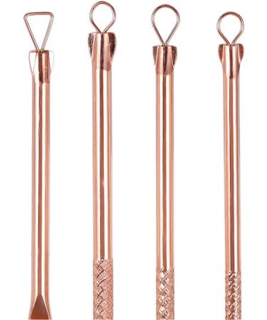 Delaman 4Pcs Stainless Steel Blackhead Acne Removal Kit - Facial Care Tool for Men and Women - Buy Online on GoSupps.com