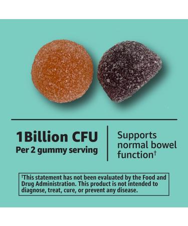 Amazon Basics Probiotic with Vitamin D Gummy 80 Count - Buy Online on GoSupps.com