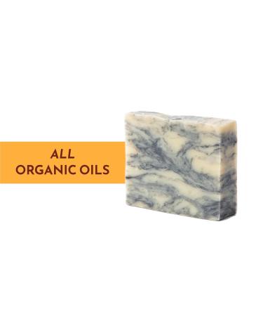 Citrus Spice Bar Soap - Activated Charcoal Organic Essentials Vegan Handmade in USA - Moisturizing & Non-GMO Ideal for All Skin Types - 5 oz - Buy Online on GoSupps.com