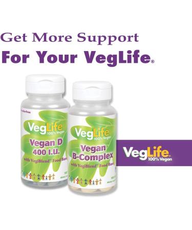 VegLife Vegan Iron 25mg Supplement with Vitamin C, Folic Acid, B-12, and VegiBlend Food Base - Plant Based Iron for Women & Men - 100 Tablets - Buy Online on GoSupps.com