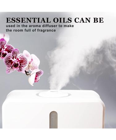 Organic Essential Oil Set - Mango Watermelon Passion Fruit Cherry Lime & Freesia - 100% Pure 10ML | Perfect for Diffusers Cleaning and Home Fragrance - 6 Pack - Buy Online on GoSupps.com