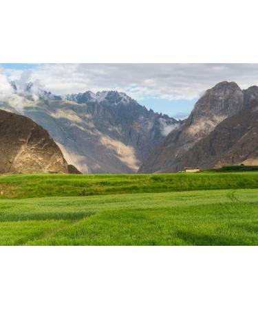 Lais Puzzle Rice field in the summer season in the village of Askole on the K2 base camp trekking route in the Karakoram Mountains Gilgit Baltistan Pakistan 500 pieces - Buy Online on GoSupps.com