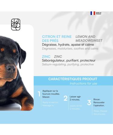 BIOGANCE - Oily hair shampoo (Fresh'n'Pure) - Buy Online on GoSupps.com