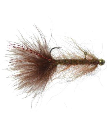 Balanced Leech Fly Collection - Size 8, Set of 6 - 2 Colors - Bead Head Jig Lake Streamer Wet Flies - Buy Online on GoSupps.com