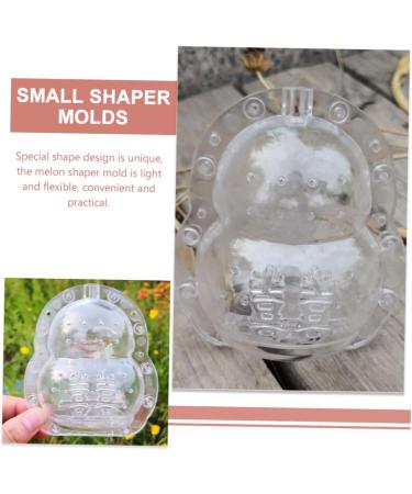 Ginseng Vegetable DIY Molds Pumpkin Shaping Mold Shaper Mold Fruit Forming Machine Stereotypes - Buy Online on GoSupps.com