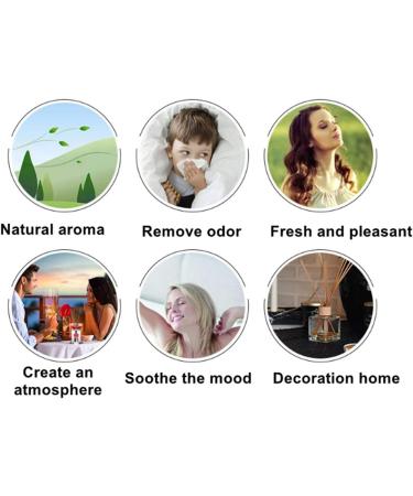 Hossian 50pcs Natural Wood Rattan Reed Diffuser Sticks - Essential Oil Aroma Spa Aromatherapy - 10/25cm - Buy Online on GoSupps.com