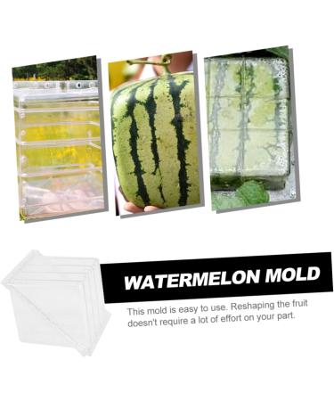 HOMSFOU Watermelon Shaping Vegetables Vegetable Growth Molds Strawberry Cup Fruit Forming Mold Tool Cucumber Ginseng Fruit 15x15cm Transparent - Buy Online on GoSupps.com