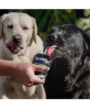 Yowup! Joint Yogurt for Dogs with Collagen Glucosamine and Chondroitin 115GR- Lactose Free Sugar Free and Fat Free | Natural Snacks for Dogs (Pack of 3 Units) - Buy Online on GoSupps.com