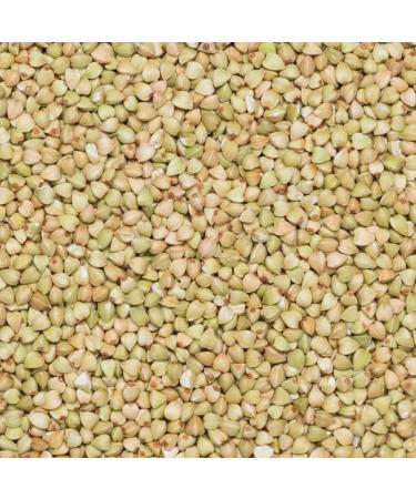 Wholefood Earth Organic Buckwheat 500g - GMO Free, Vegan, Source of Fibre | Certified Organic - Buy Online on GoSupps.com