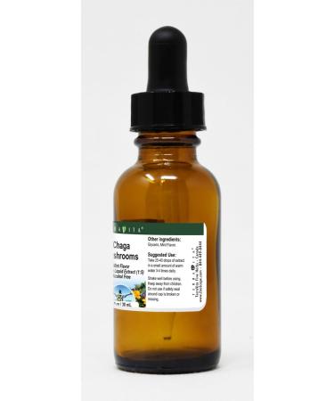Chaga Mushrooms Glycerite Liquid Extract (1:5) - Mint Flavored (1 oz ZIN: 524115) - Buy Online on GoSupps.com
