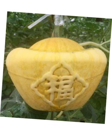 Parliky Pumpkin Mold Clear Fruit Square Mold Transparent Shaping Mold Watermelon Accessories Multipurpose - Buy Online on GoSupps.com