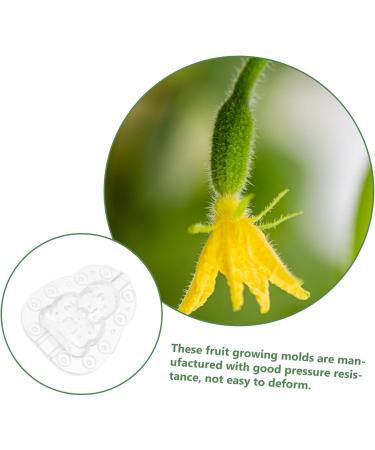 BESPORTBLE 3pcs Shaper Watermelon Forming Shaping Fruit Buddha Shaped DIY Mould Small Peach for Transparent 9x8cm - Buy Online on GoSupps.com