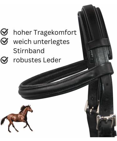 Buy AMKA Leather Cavesson with Bit Buckle - Premium Quality & Comfort for Equine Enthusiasts | International Shipping Available - Buy Online on GoSupps.com