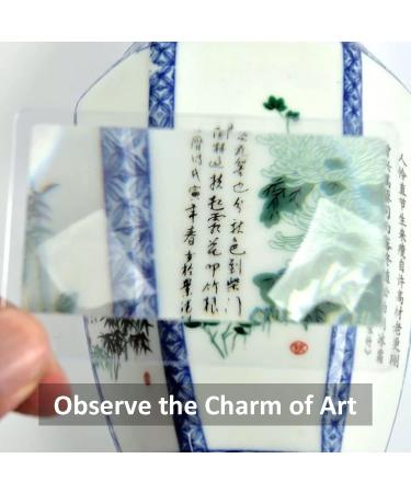 Taianji 10-Piece Credit Card Size Fresnel Magnifier Ideal for Seniors & Osteo Reading | Portable Reading Aid for Books & Newspapers (8.5 x 5.5 cm) - Buy Online on GoSupps.com