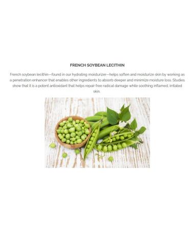 Pistach Skincare Pistachio Oil Bliss Scent Set + Perfume Eau de Parfum + 5-Pc Mini Collection (Travel)+ Hydrates and Nourishes + Vitamin E + Antioxidant Protection - Buy Online on GoSupps.com