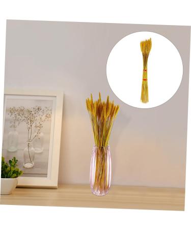 TOPBATHY Wheat Ear 200 Pcs Dried Wheat Ears Bouquet Barley Gift Dried Flowers. Wheat Ears Decor Yellowx2pcs 52X10CMx2pcs - Buy Online on GoSupps.com