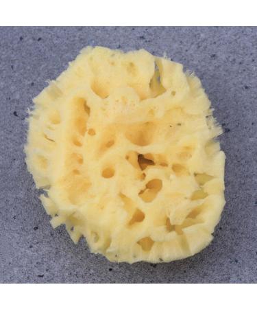 Yardwe Body Wash Scrubber Esponja para Ba arse Bath Scrubber for Body Cleaning Scrubber Skin Scrubber Bathroom Shower Ball Shower Supplies Bath Ball Baby Sponge Take a Bath Accessories - Buy Online on GoSupps.com