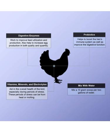 Animal Health Solutions Hen Boost Probiotics - Enhance Immunity & Hydration in Full-Grown Chickens (8 oz) - Buy Online on GoSupps.com