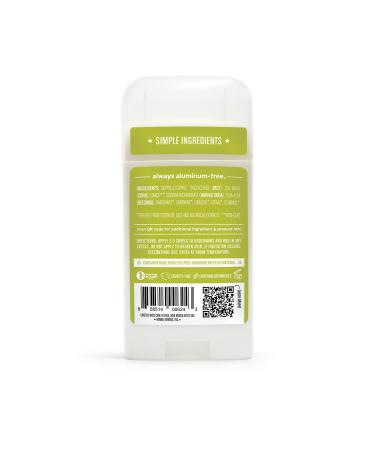 HUMBLE BRANDS Original Formula Aluminum-free Deodorant. Long Lasting Odor Control with Baking Soda and Essential Oils Bergamot and Ginger Pack of 3 Bergamot & Ginger 2.5 Ounce (Pack of 3) - Buy Online on GoSupps.com