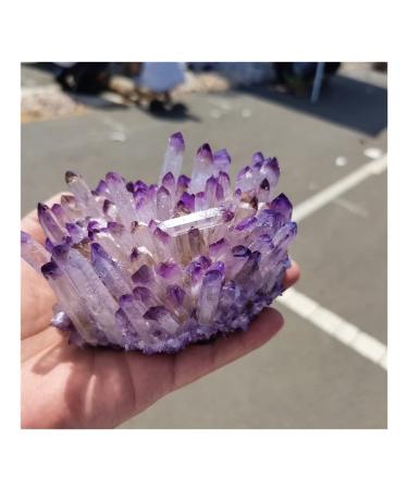 Natural Crystal Rough Crystal Natural Purple Ghost Phantom Quartz Crystal Cluster Rock Stones and Crystals Reiki Specimen Home Deco Crystal (Size : 300-350g)
