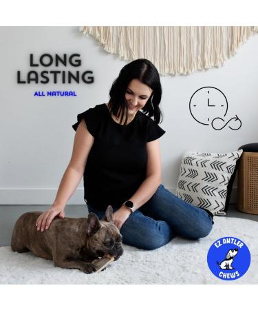 EZ Antler Chews - Moose Antlers for Dogs - Medium Whole - Dogs under 55lbs - Long Lasting Dog Treats Dog Chews - Marrow Bone Dog Treats - Naturally Shed -Preservative Free Cruelty Free Antler Dog Chew - Buy Online on GoSupps.com