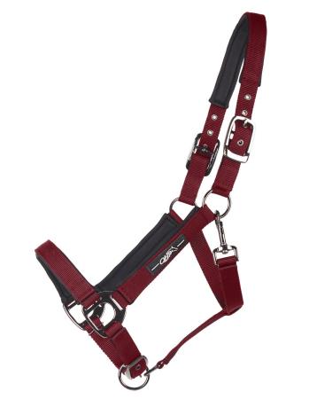 Halter horse deluxe | Comfortable to wear | Incl. snap fastener | Individually adjustable warmblood burgundy