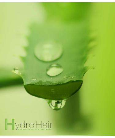 ALOE REPAIR SHAMPOO | Revitalize Over-Processed Hair Add Body & Softness | International Shipping Available - Buy Online on GoSupps.com