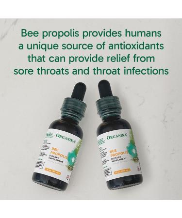 Organika Bee Propolis Tincture 1 oz x 2 Pack: Clean and Vegan Propolis Extract for Immune Defenses Throat and Breath - Free of Gluten GMO & Artificial Flavors - 20 Day Prop Drops Supply 1 Fl Oz (Pack of 2) - Buy Online on GoSupps.com