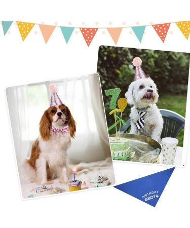 Dog Birthday Hat Kit with Bow Tie Collar and Gold Number - Pink Pet Party Decorations - Buy Online on GoSupps.com