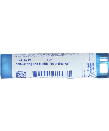 BOIRON Causticum 6 C - Homeopathic Remedy 80 CT | Fast International Shipping - Buy Online on GoSupps.com