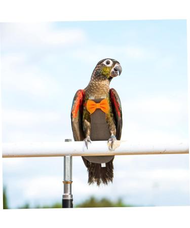 PopetPop 5-Pack Bird Diapers for Conures & Lovebirds | Neoprene Flight Suits & Cotton Urine Pads - International Shipping Available - Buy Online on GoSupps.com